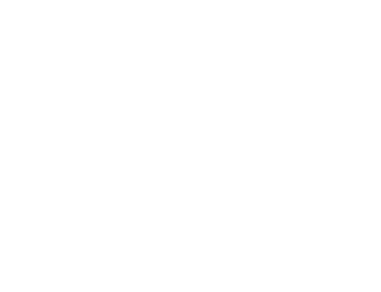 Cerebelly all white.