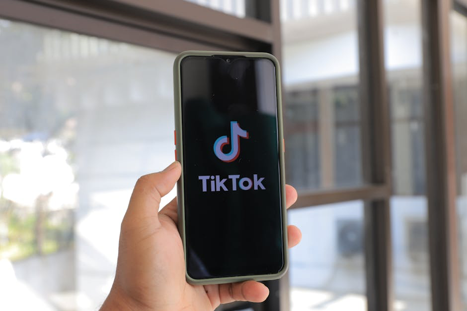 smartphone screen showing engaging content on a platform like TikTok or Reddit - Niche audience targeting Hand holding phone displaying TikTok logo